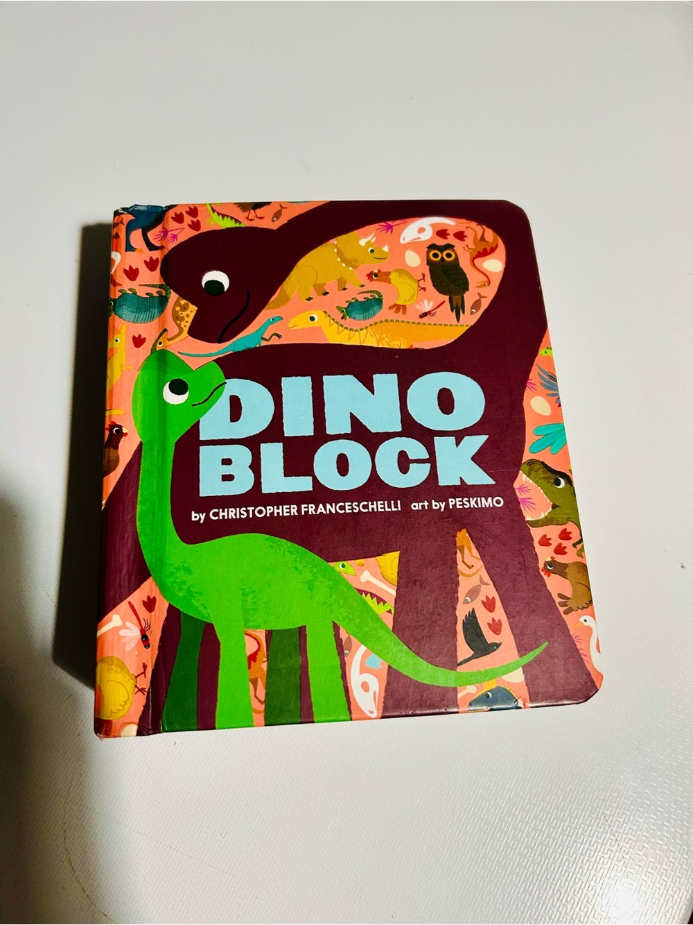 (3/$10) Dino Block Kids Book